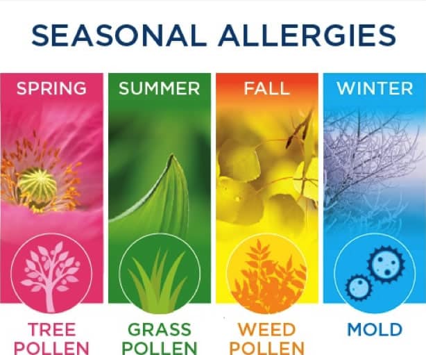 Spring Allergies